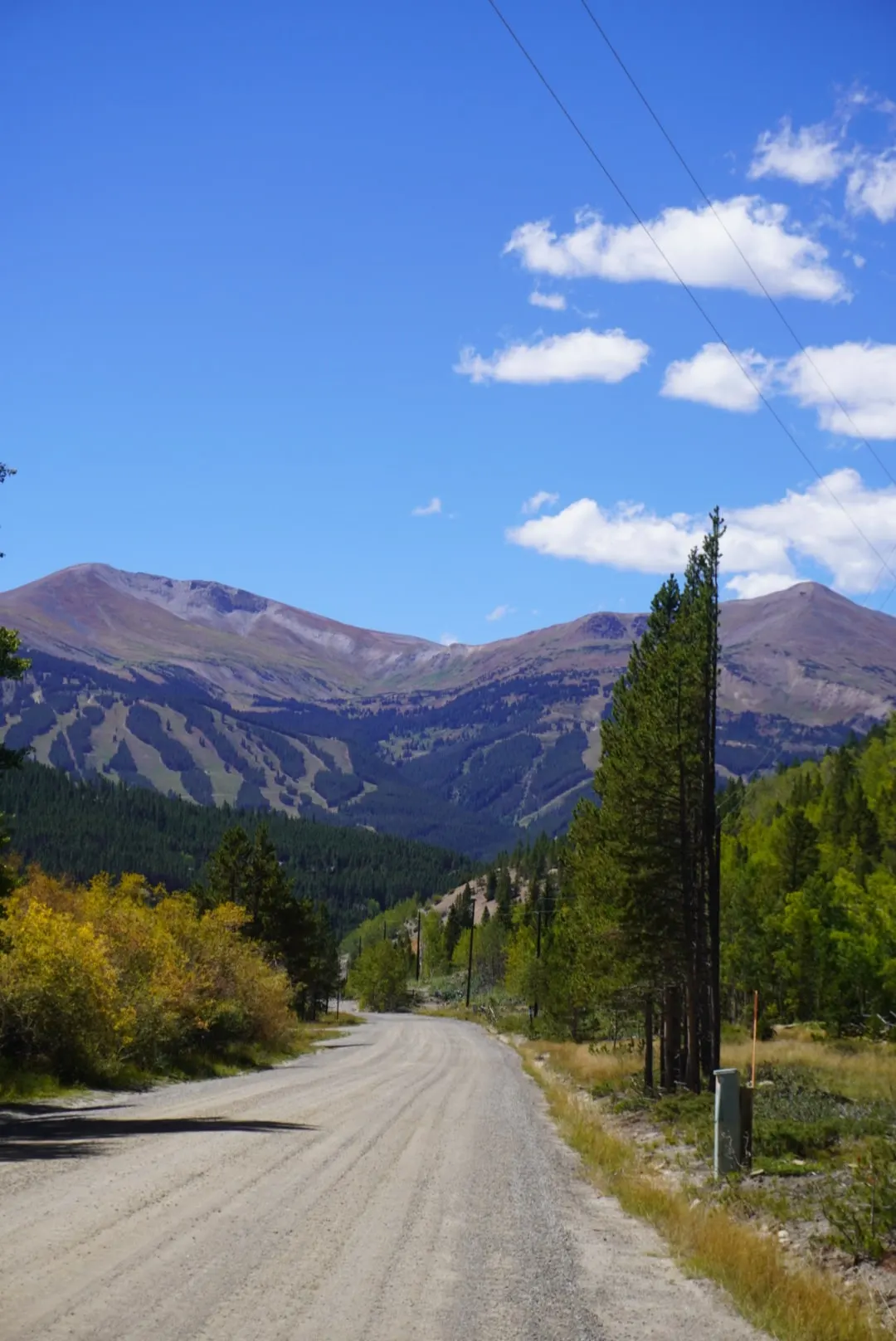 A gravel road running between pines and aspens toward a mountain with ski runs.