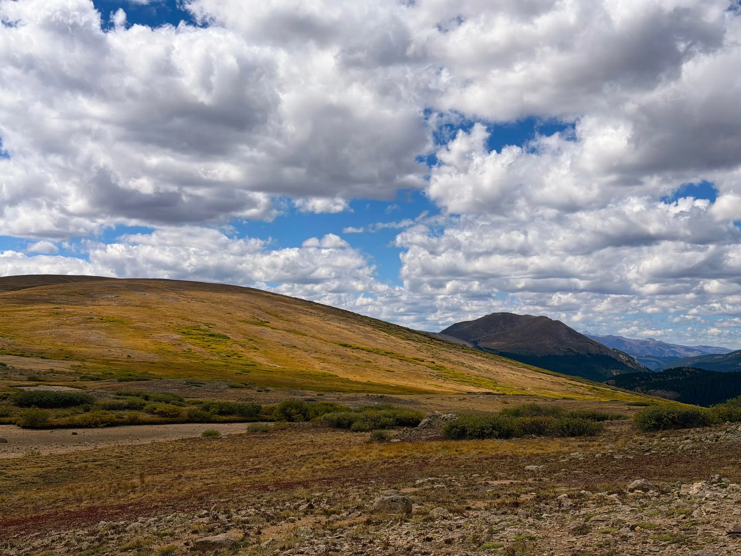 Rolling alpine tundra in autumn colors under large white clouds.
